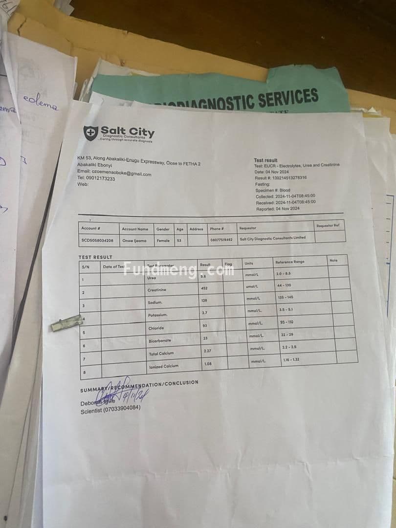 Help Mrs. Ijeoma Onwe survive end-stage kidney failure!